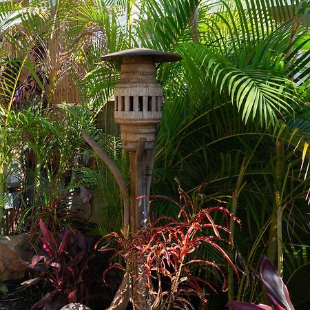 Bamboo Suite, 1 Bedroom, Sleeps 4, Pool & Bbq, Pre-Renovation Summer Sale Kihei Esterno foto