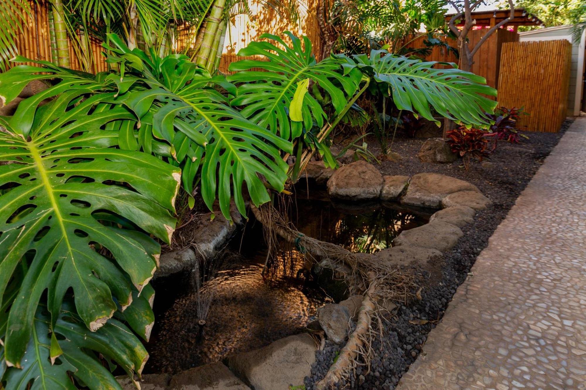 Bamboo Suite, 1 Bedroom, Sleeps 4, Pool & Bbq, Pre-Renovation Summer Sale Kihei Esterno foto